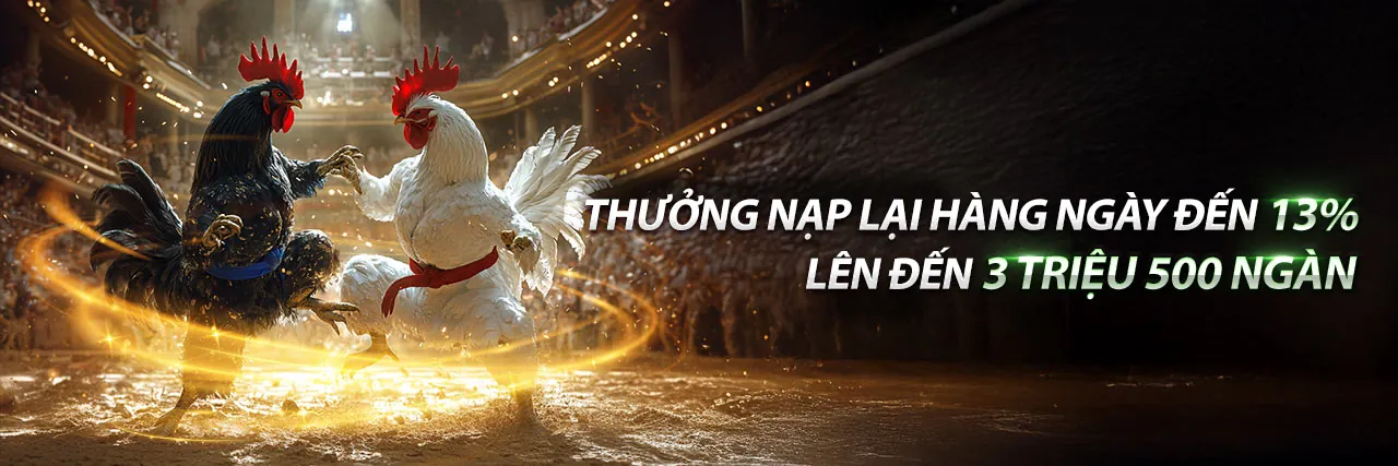 Đá gà trực tuyến Lucky 8 đăng ký với các trận đấu kịch tính